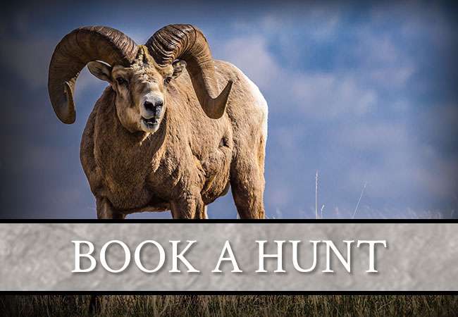 Book a Hunt