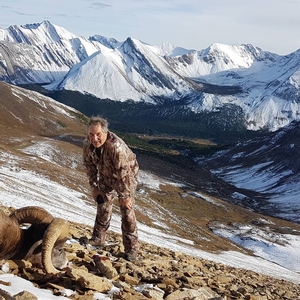 Bighorn Sheep Hunts